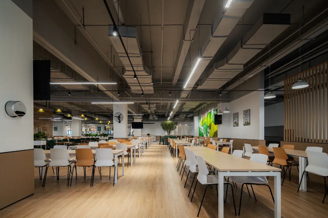 1728531175979294.jpg 6.jpg